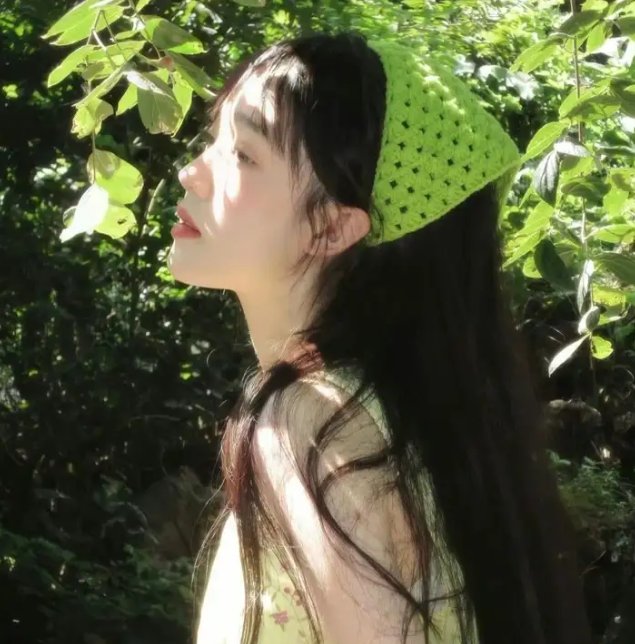 嘉南传